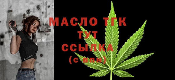прущие крисы Ельня