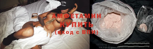 прущие крисы Ельня
