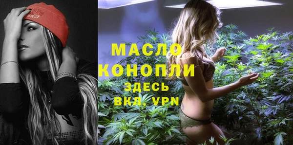 прущие крисы Ельня
