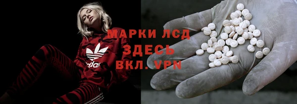 прущие крисы Ельня