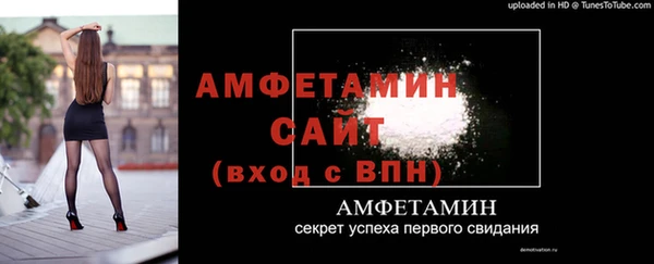 прущие крисы Ельня