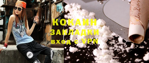 прущие крисы Ельня
