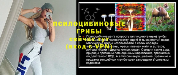 стаф Елизово
