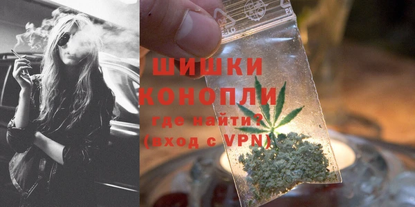 прущие крисы Ельня