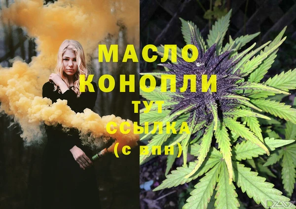 прущие крисы Ельня