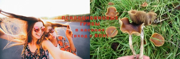 круглые Елабуга