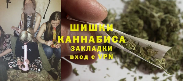 стаф Елизово