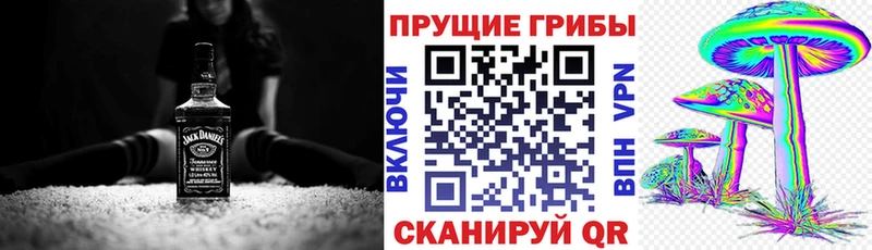 Псилоцибиновые грибы Magic Shrooms  сайты даркнета клад  Пустошка 